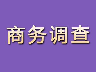 沙坪坝商务调查